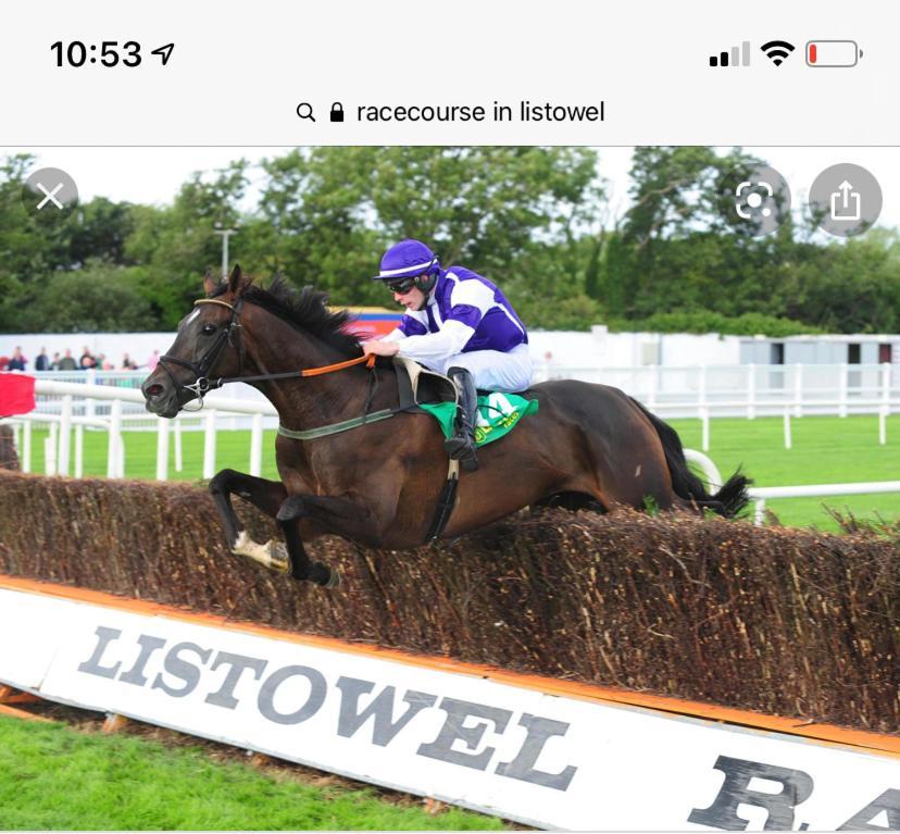 Racecourse View Hotel Listowel Eksteriør billede